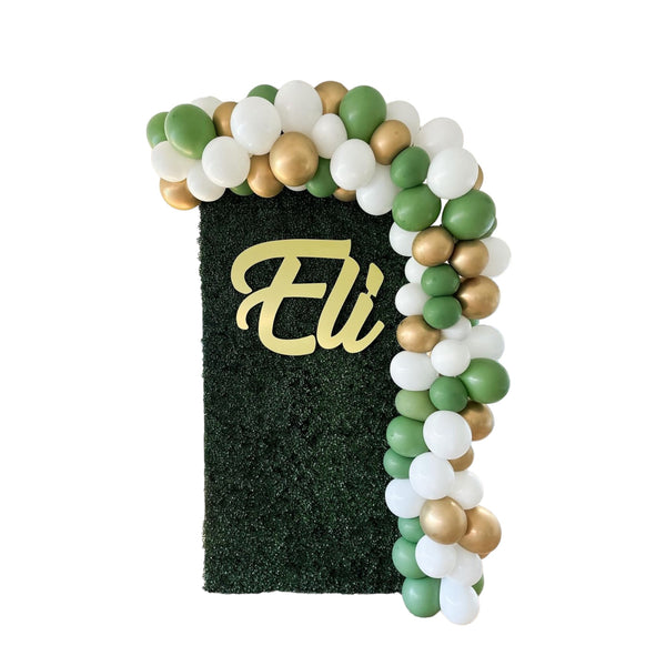 Grass Backdrop (4x8ft Backdrop, Balloon Garland, Custom Sign)