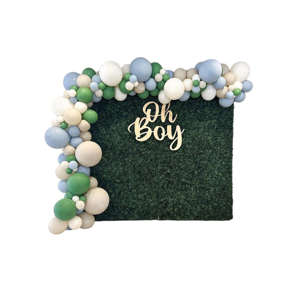 Grass Backdrop (7x8ft Backdrop, Balloon Garland, Sign)